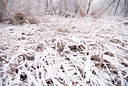 BUITEN BEELD Foto: 43637