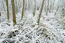 BUITEN BEELD Foto: 43643
