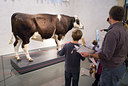 BUITEN BEELD Foto: 43650