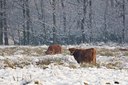 BUITEN BEELD Foto: 43662