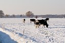 BUITEN BEELD Foto: 43679