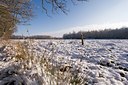 BUITEN BEELD Foto: 43707
