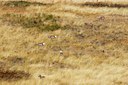 BUITEN BEELD Foto: 43719