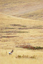 BUITEN BEELD Foto: 43723
