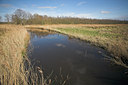 BUITEN BEELD Foto: 43766