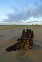 BUITEN BEELD Foto: 43792