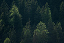 BUITEN BEELD Foto: 43793