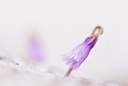 BUITEN BEELD Foto: 43798