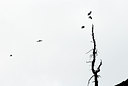 BUITEN BEELD Foto: 43810