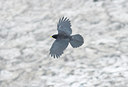 BUITEN BEELD Foto: 43811