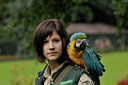 BUITEN BEELD Foto: 43817