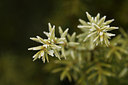 BUITEN BEELD Foto: 43887