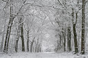 BUITEN BEELD Foto: 43913