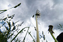 BUITEN BEELD Foto: 43915