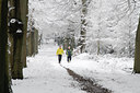 BUITEN BEELD Foto: 43918