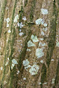 BUITEN BEELD Foto: 43943