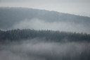 BUITEN BEELD Foto: 43950