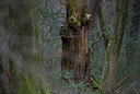 BUITEN BEELD Foto: 43962