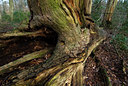 BUITEN BEELD Foto: 43964