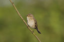 BUITEN BEELD Foto: 43977