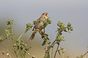BUITEN BEELD Foto: 43984