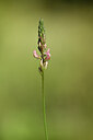 BUITEN BEELD Foto: 439001
