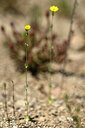 BUITEN BEELD Foto: 439002
