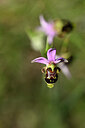 BUITEN BEELD Foto: 439004