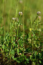 BUITEN BEELD Foto: 439012