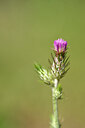 BUITEN BEELD Foto: 439013