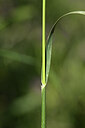 BUITEN BEELD Foto: 439015
