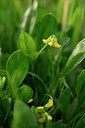 BUITEN BEELD Foto: 439018