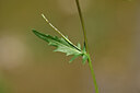 BUITEN BEELD Foto: 439025