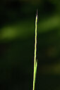 BUITEN BEELD Foto: 439027