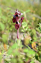 BUITEN BEELD Foto: 439030