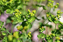 BUITEN BEELD Foto: 439035