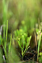 BUITEN BEELD Foto: 439038