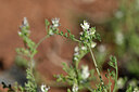 BUITEN BEELD Foto: 439046