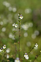 BUITEN BEELD Foto: 439047
