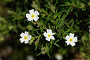 BUITEN BEELD Foto: 439052