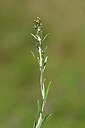 BUITEN BEELD Foto: 439053