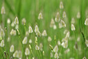BUITEN BEELD Foto: 439055