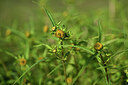 BUITEN BEELD Foto: 439057