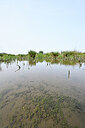 BUITEN BEELD Foto: 439061