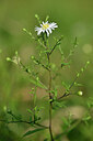 BUITEN BEELD Foto: 439062