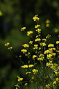 BUITEN BEELD Foto: 439065
