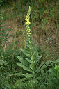 BUITEN BEELD Foto: 439068