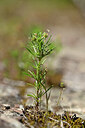 BUITEN BEELD Foto: 439069