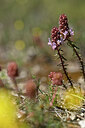 BUITEN BEELD Foto: 439071