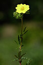 BUITEN BEELD Foto: 439073